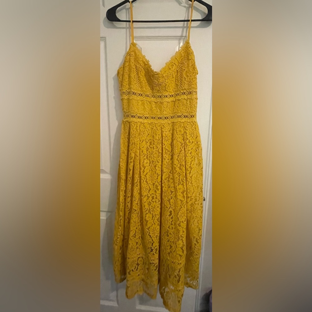 NSR NWT Dress
